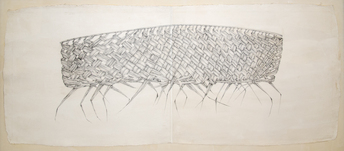 Desmond Lazaro, Coconut palm leaf drawing, 2012, &copy; Desmond Lazaro