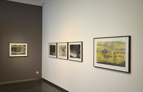 Stefan à Wengen. My Captive Heart, Beck & Eggeling International Fine Art (c) Beck & Eggeling