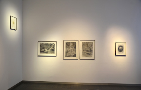 Stefan à Wengen. My Captive Heart, Beck & Eggeling International Fine Art (c) Beck & Eggeling